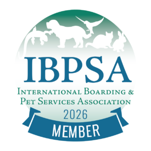 IBPSA Member 2026