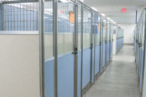 dog lodging suites