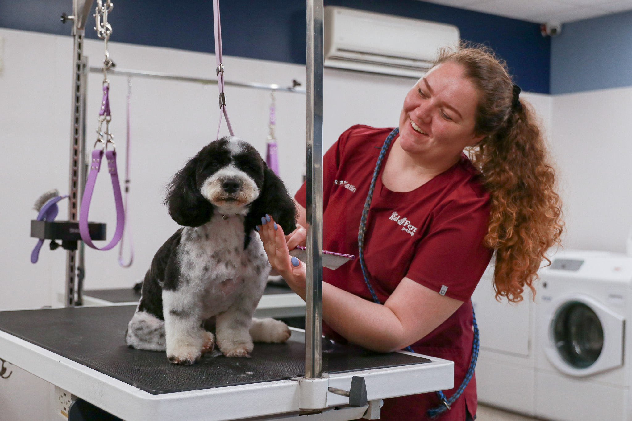 Groomer C