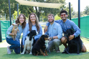 Red Fern Managers
