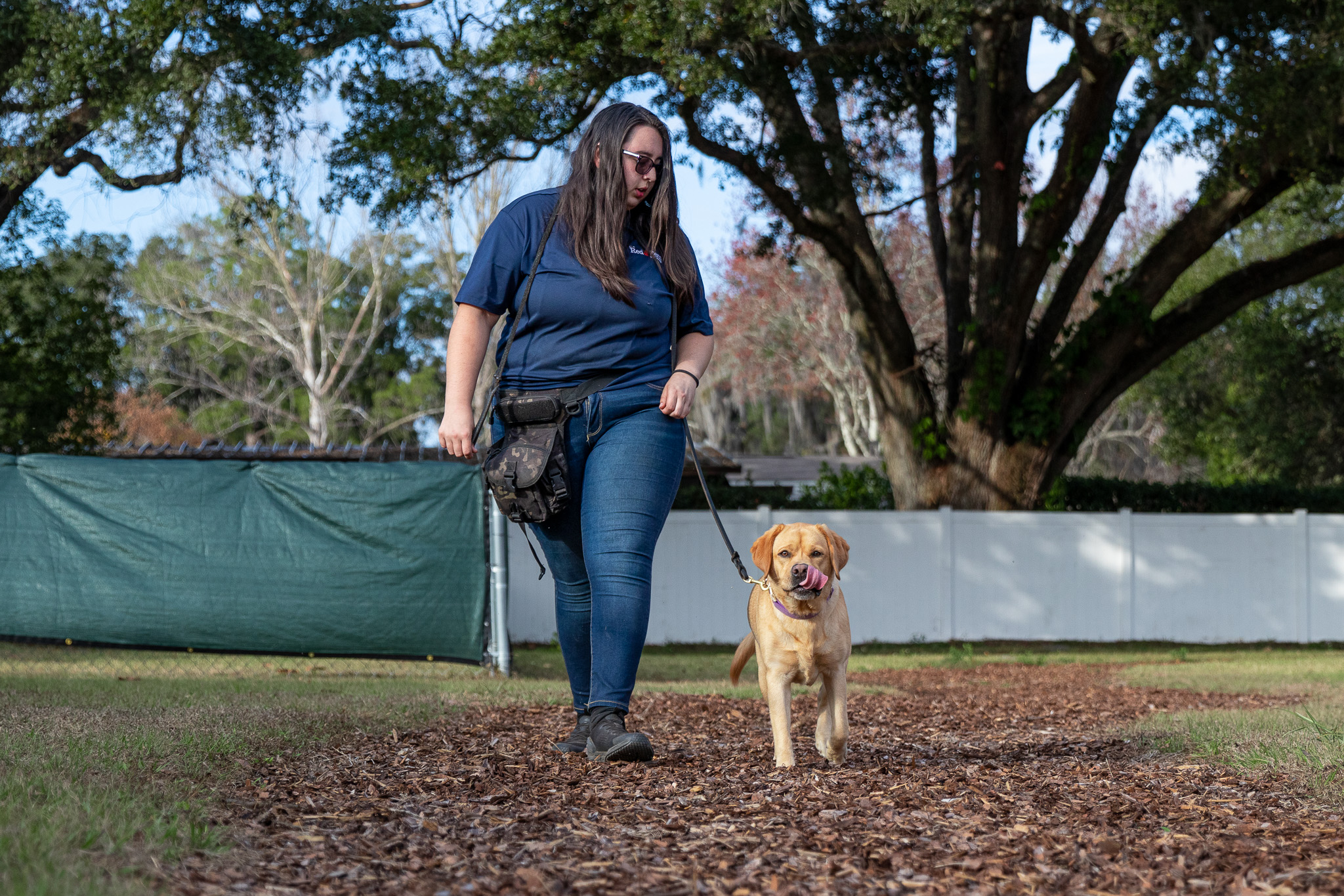 dog trainer walking dog on leash