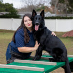 dog trainer with Shepard on dog walk equipment