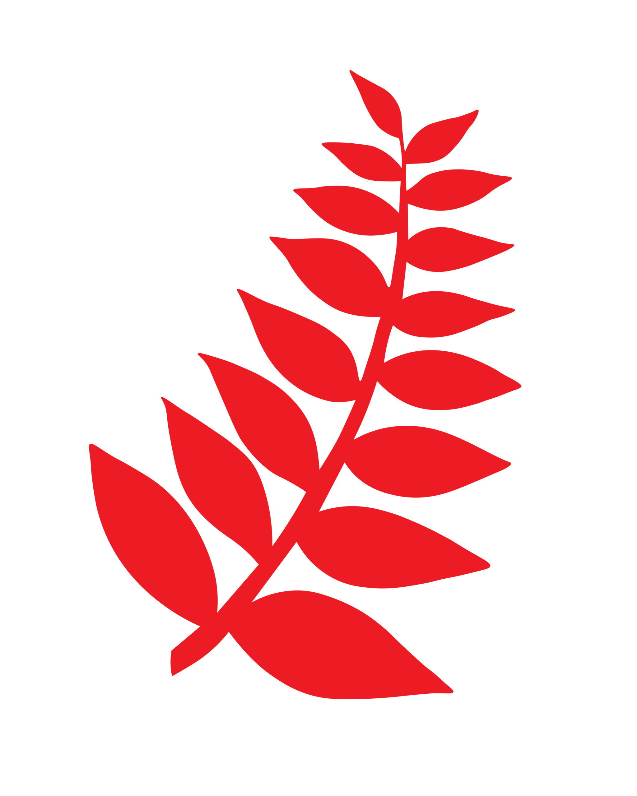 Red Fern Single