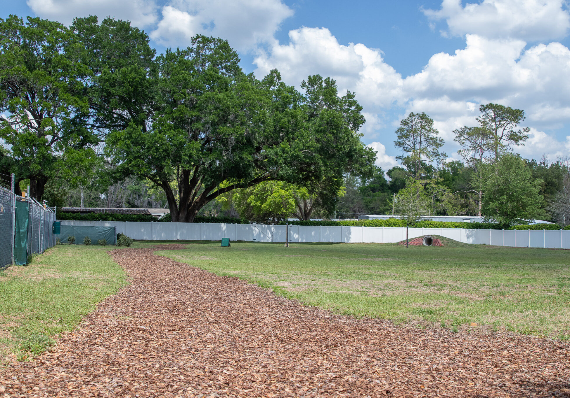 image of dog park